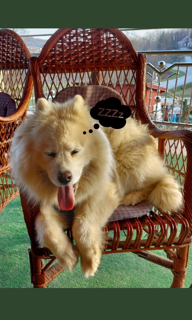 arya-topusko Arya Spava