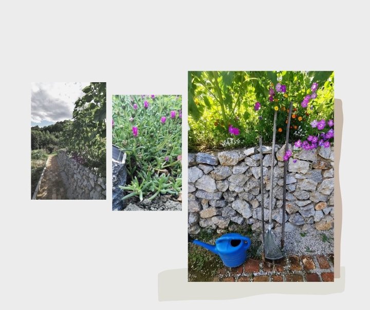 lokalno-organiski-topusko